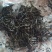 百年大树茶二级