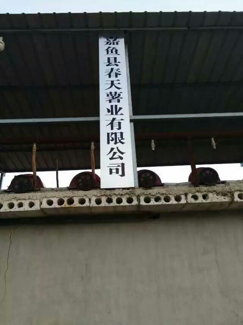 红薯淀粉散装