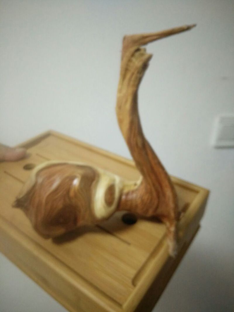 檀香木崖柏