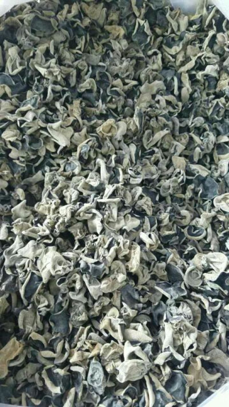 黑木耳一级