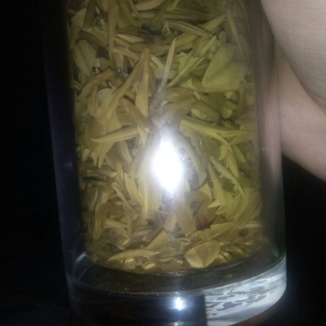 本山茶特级