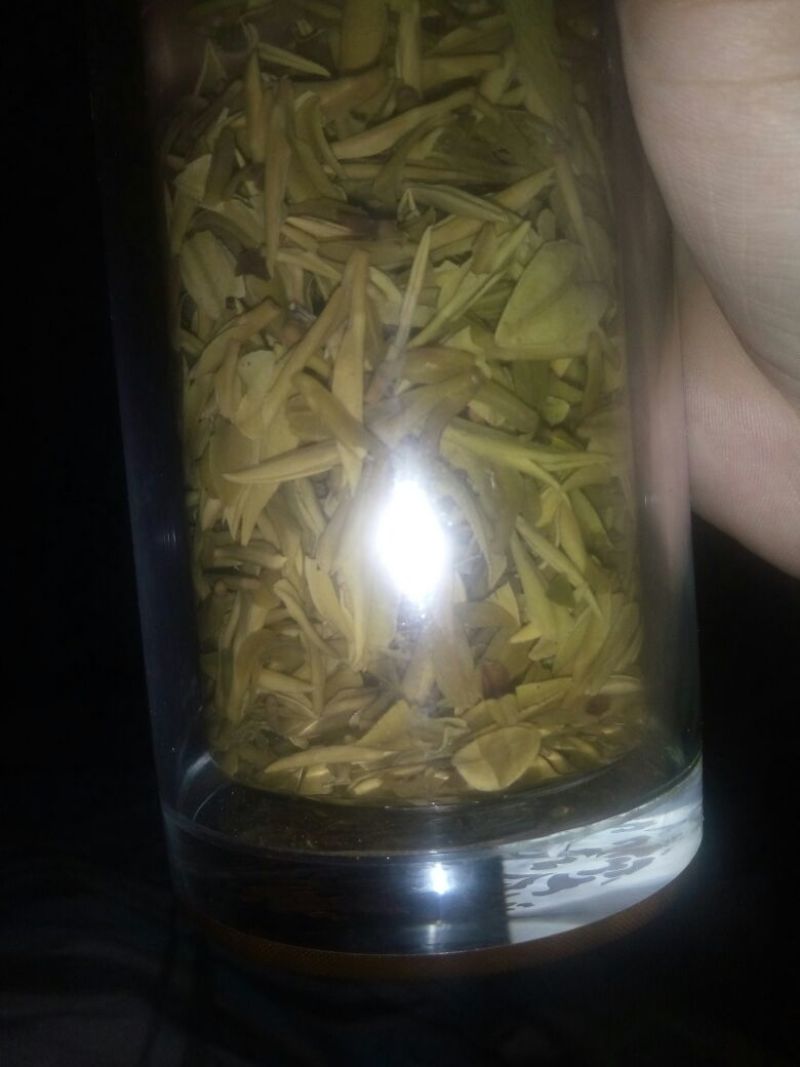 本山茶特级