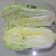 大白菜