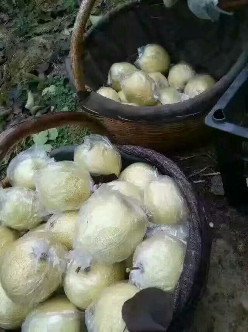 梨150~200g纸箱