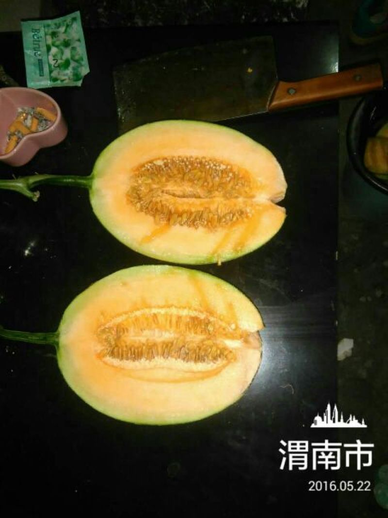 西州蜜瓜2斤以上椭圆形