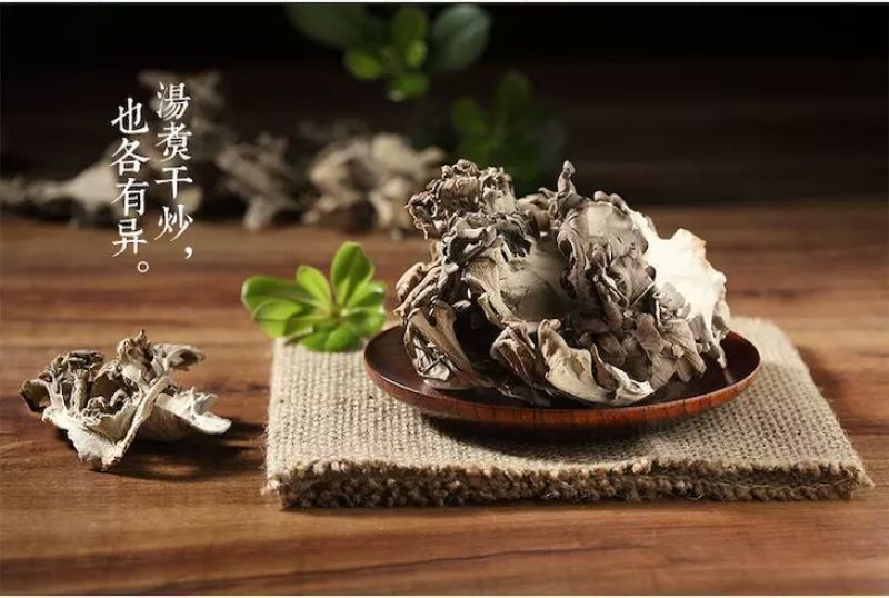 茶树菇14cm