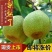 莱阳梨350~400g膜袋