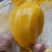 菠萝蜜
