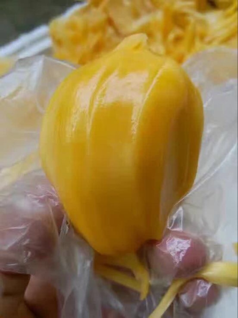 菠萝蜜