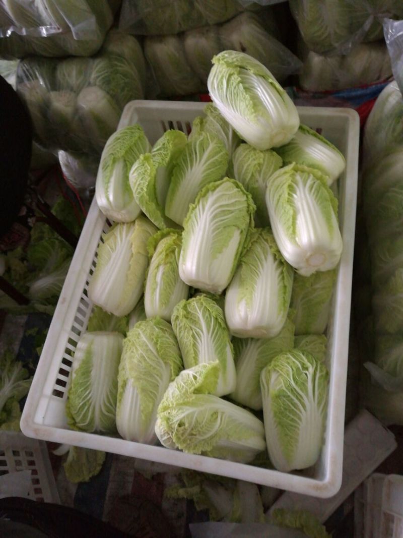 娃娃菜一斤半以上