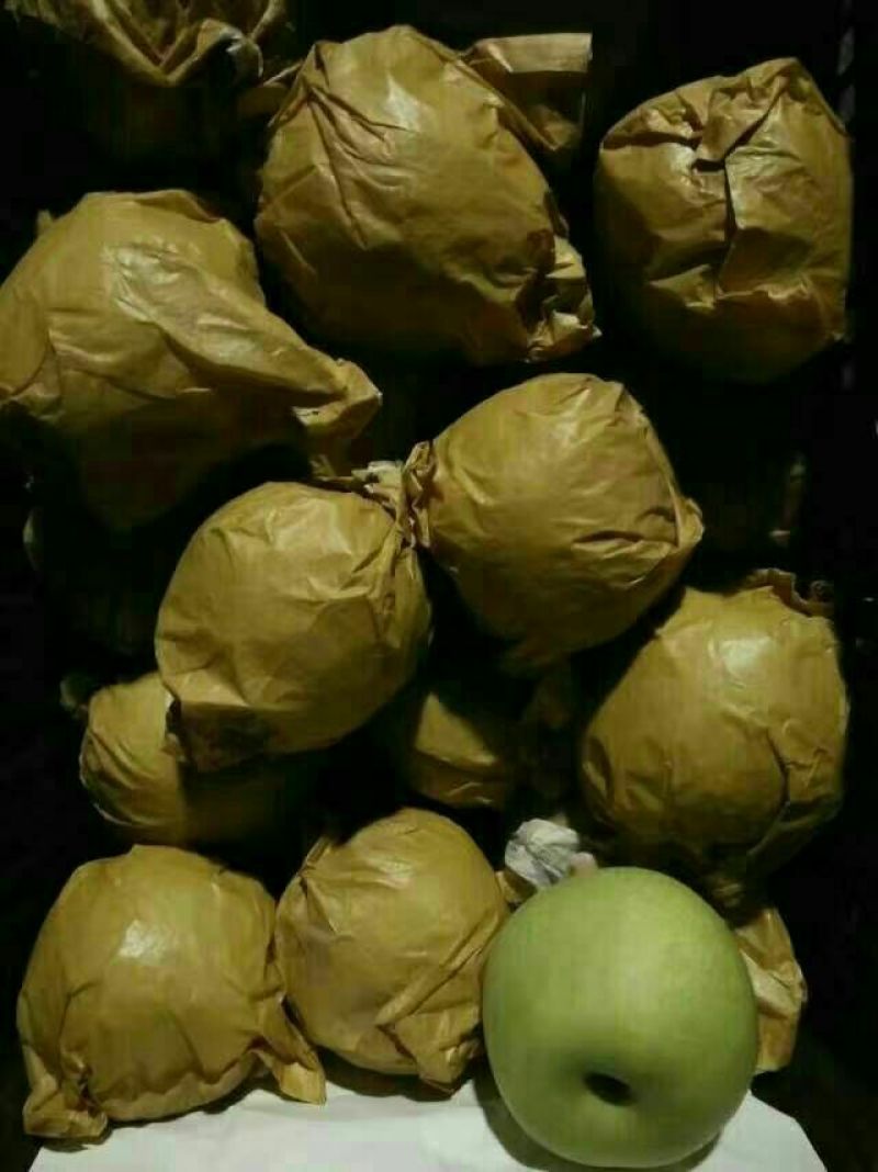 黄金梨300~350g纸袋