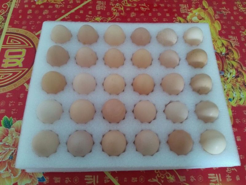 土鸡蛋食用40~50g