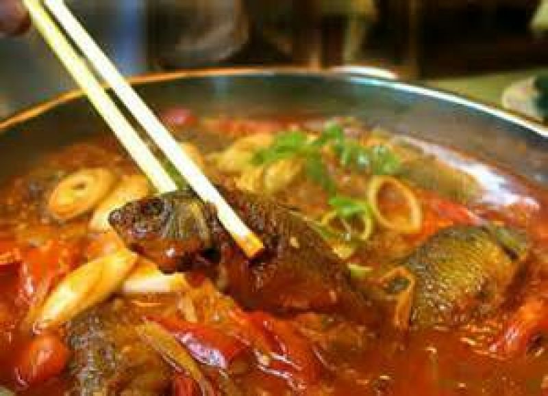 乌鲤食用0.5公斤以下