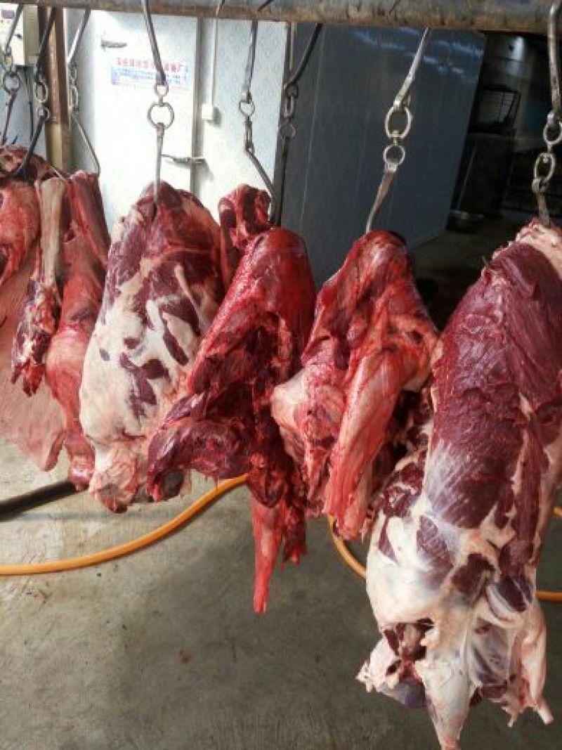 驴肉