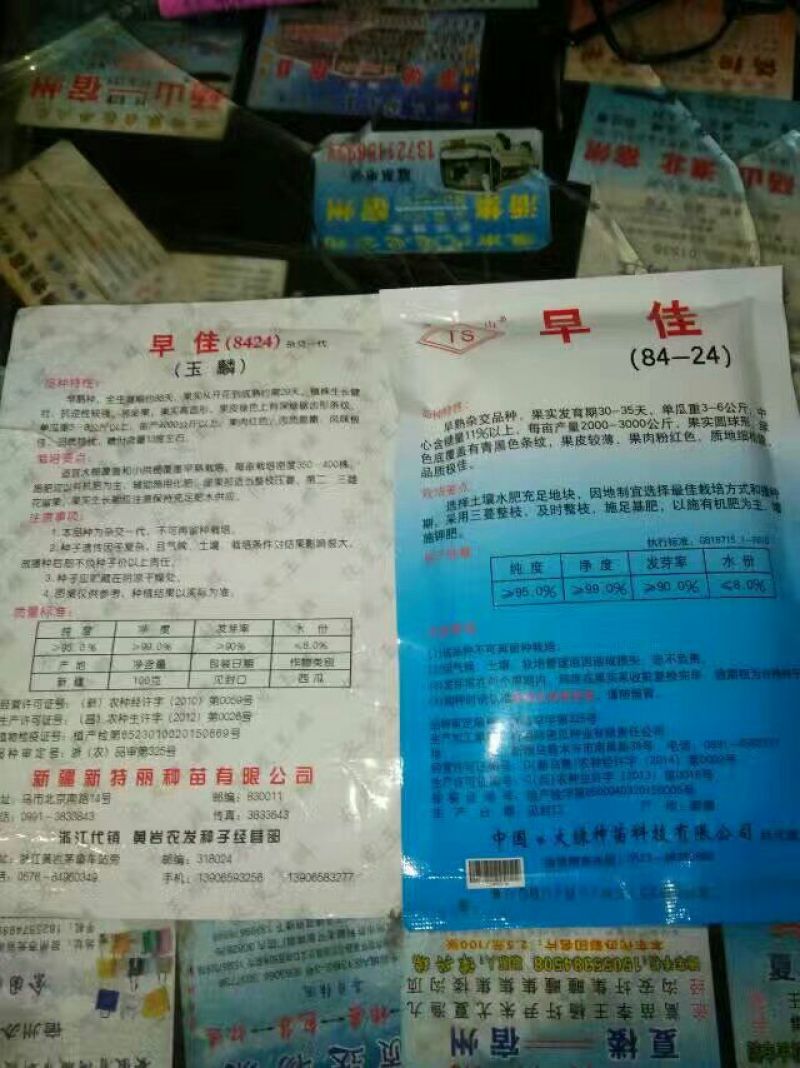 西瓜苗95%以上