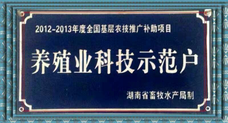 土鸡12月以上