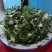山野菜