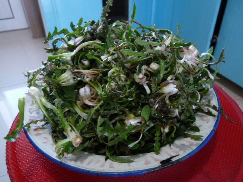 山野菜