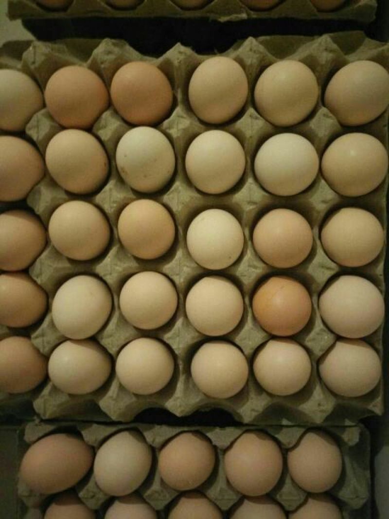白蛋食用50g以下