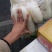 新白玉白萝卜1~1.5斤起