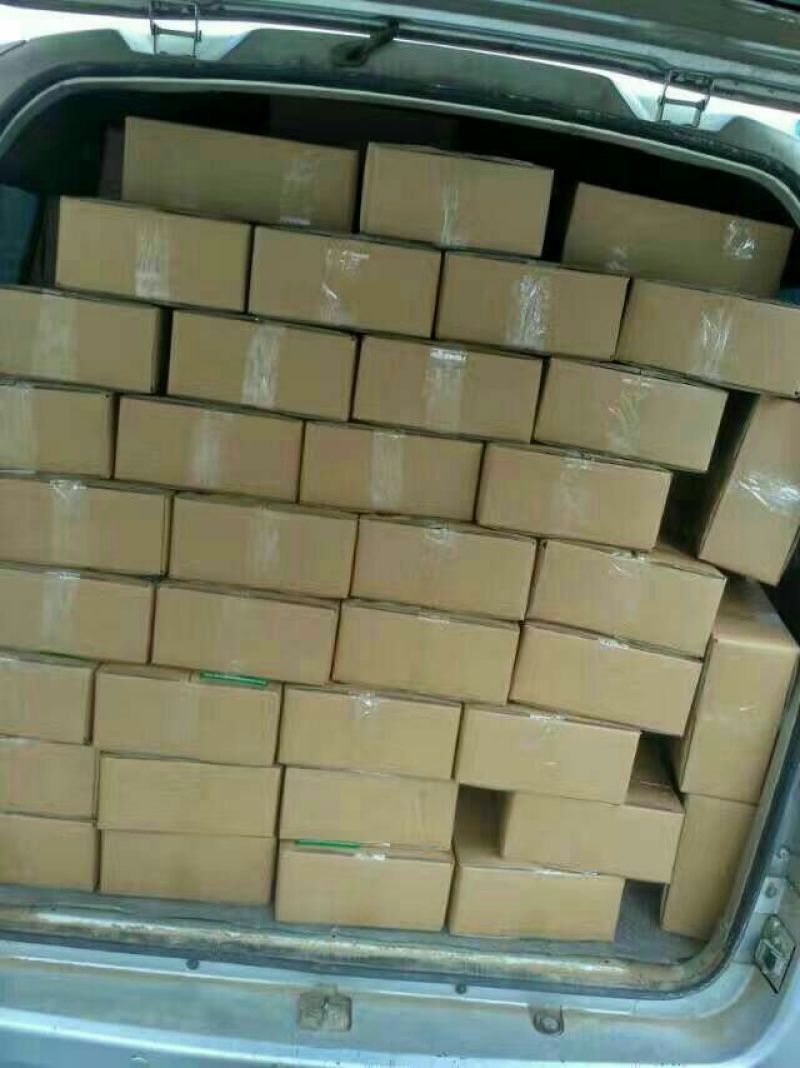 秋月梨450~500g纸箱