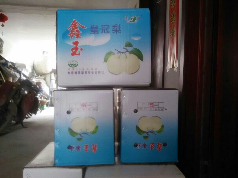 皇冠梨300~350g纸箱
