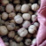 绵核桃去皮干