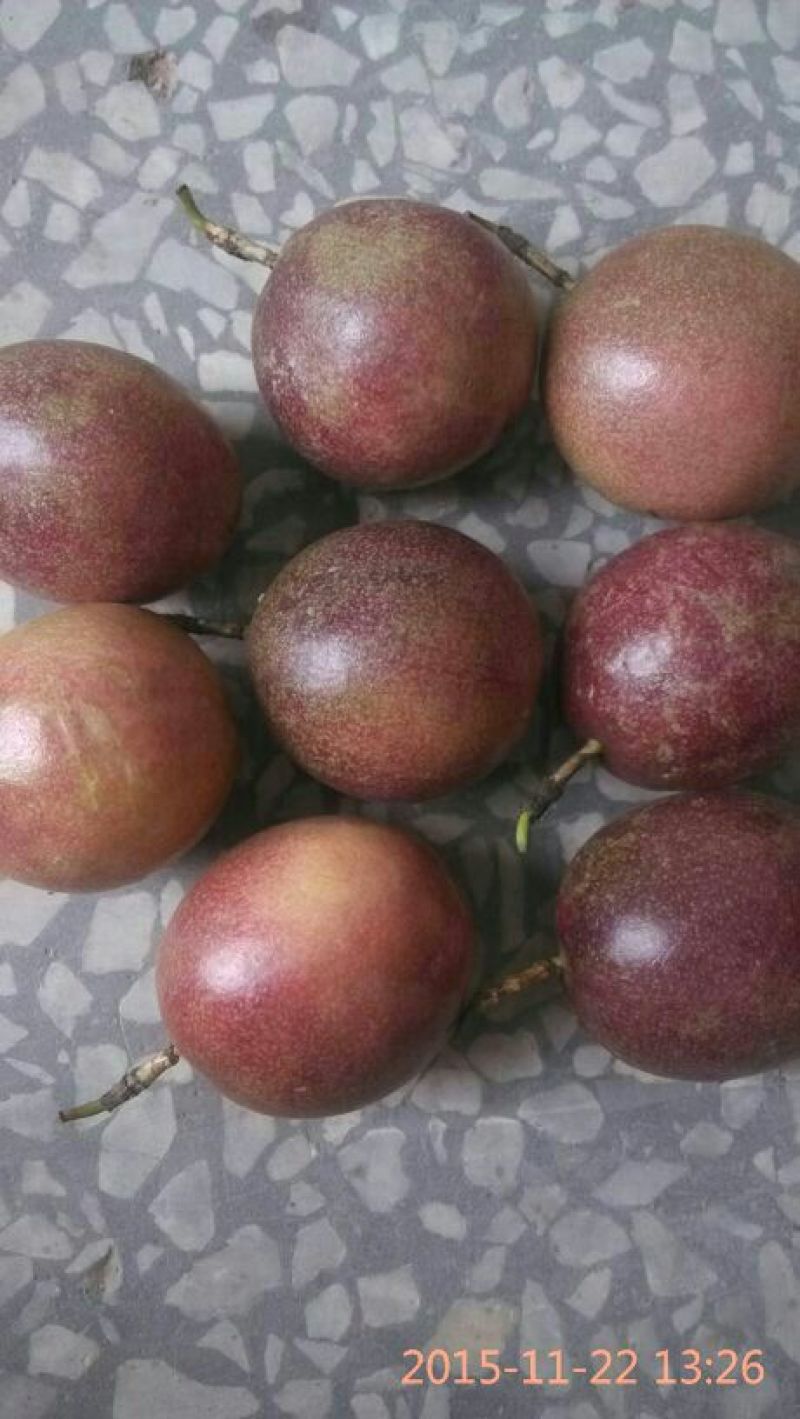 百香果