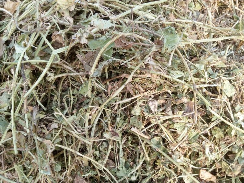 花生糠粗糠