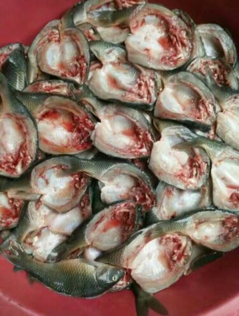 乌鲤食用2两