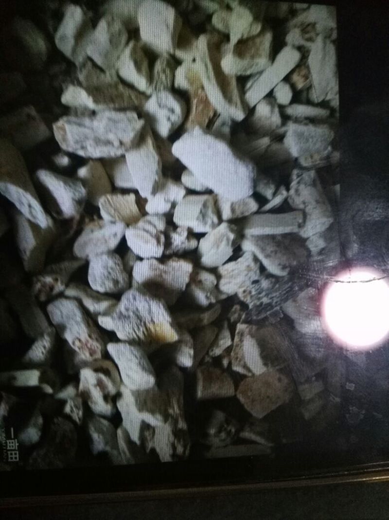 龙骨