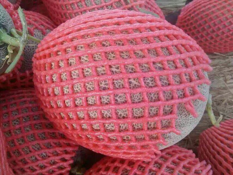 西州蜜瓜