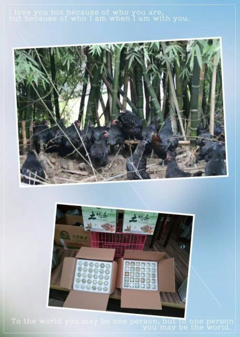 绿壳鸡蛋食用50g以下