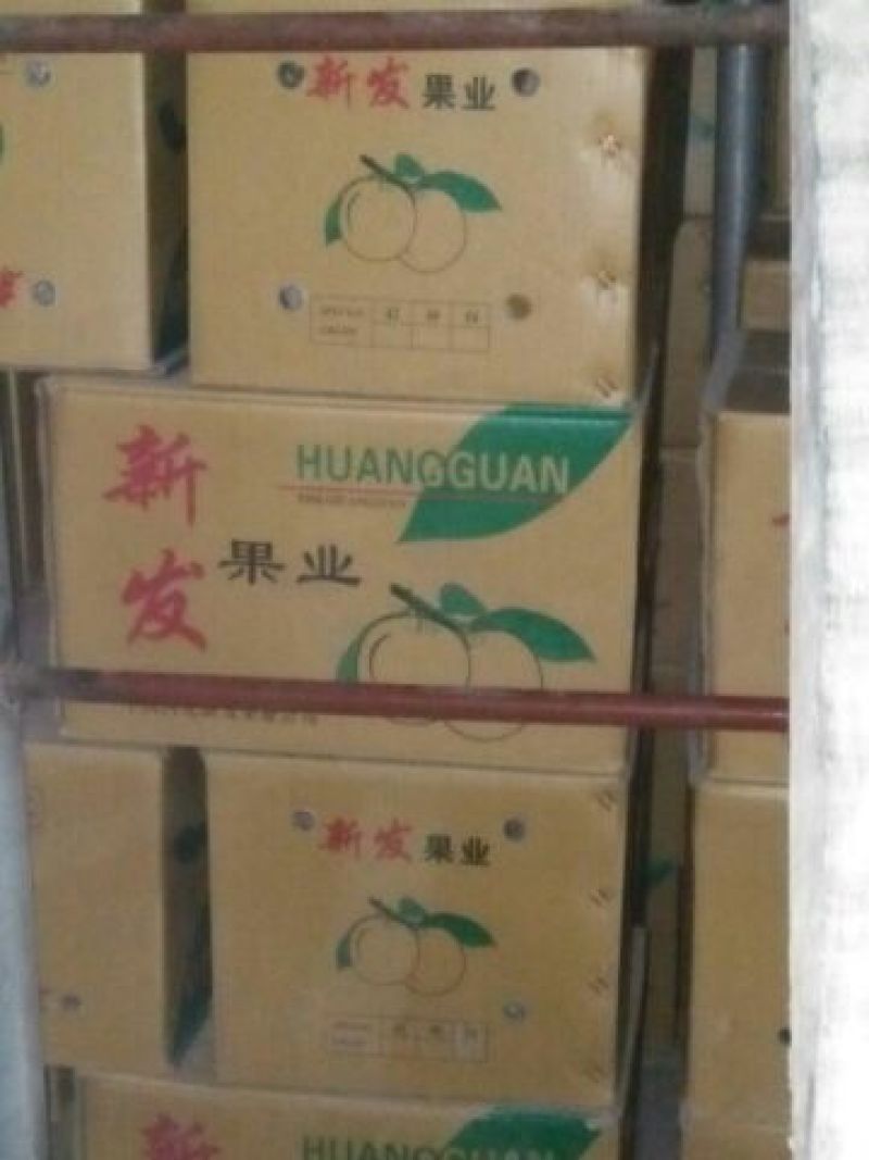 皇冠梨250~300g纸袋