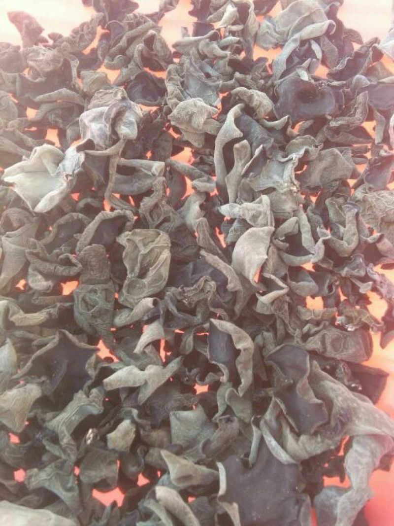 黑山秋耳二级