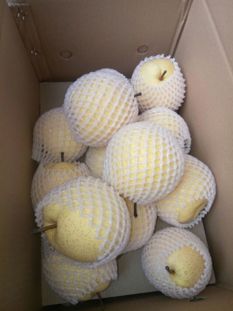 贡梨250~300g纸箱