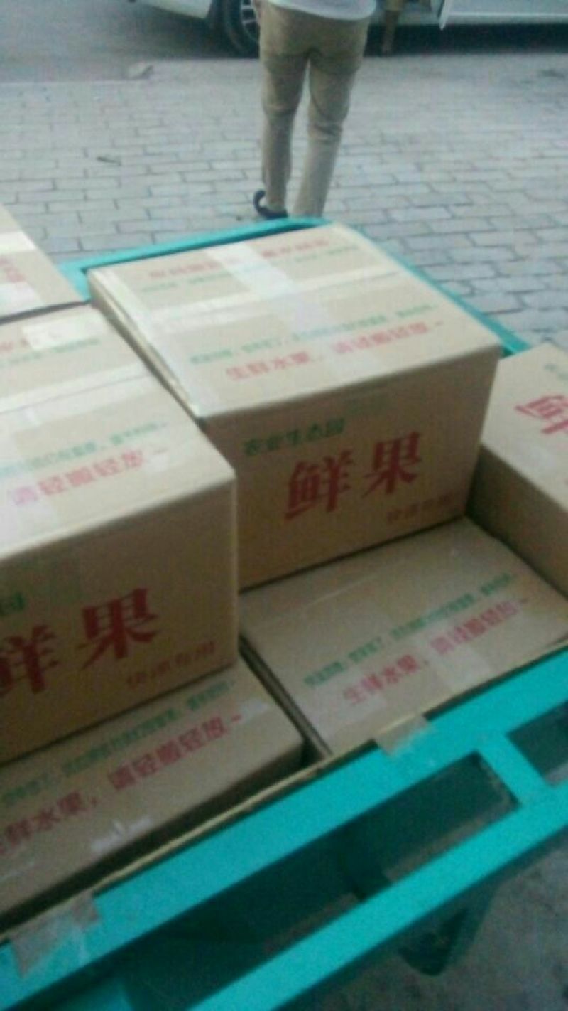 礼泉酥梨200~250g纸袋