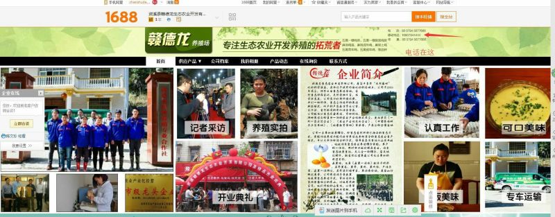 绿壳鸡蛋天然散养，绿壳蛋