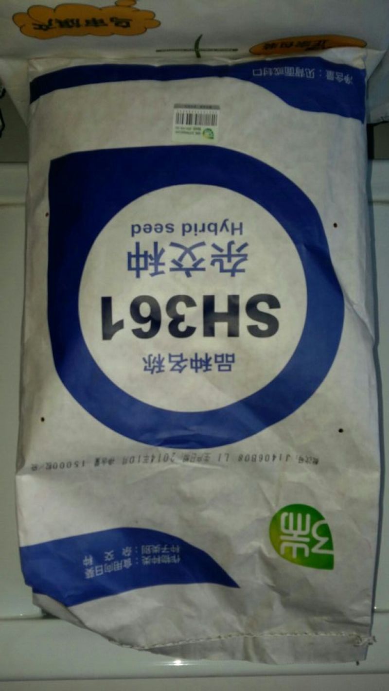 葵花种子