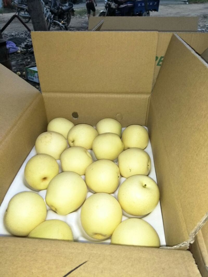 皇冠梨250~300g纸袋