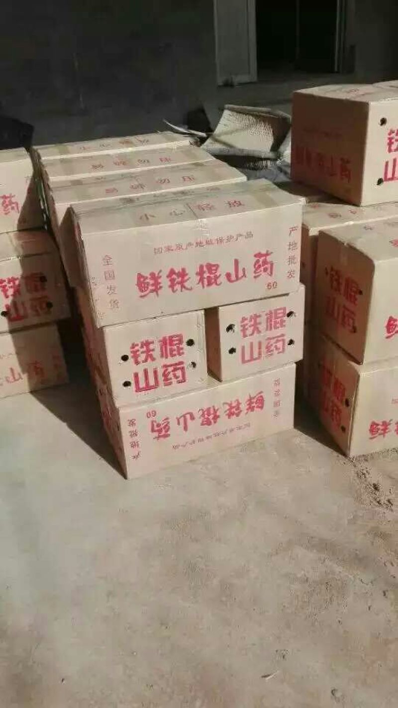 垆土山药2~3厘米特级40~50厘米