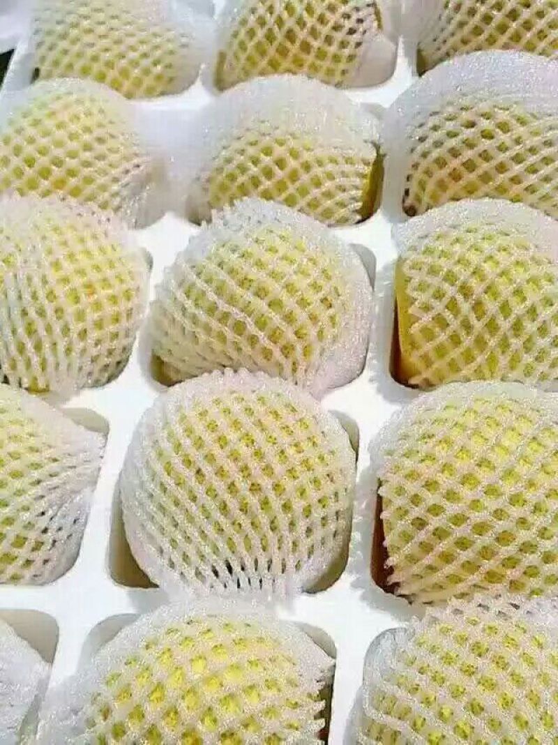 砀山梨250~300g纸箱