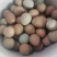 野鸡蛋食用50g以下
