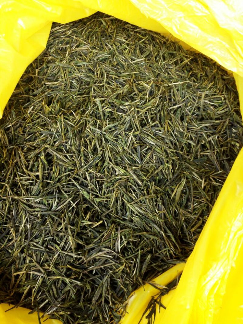 本山茶一级