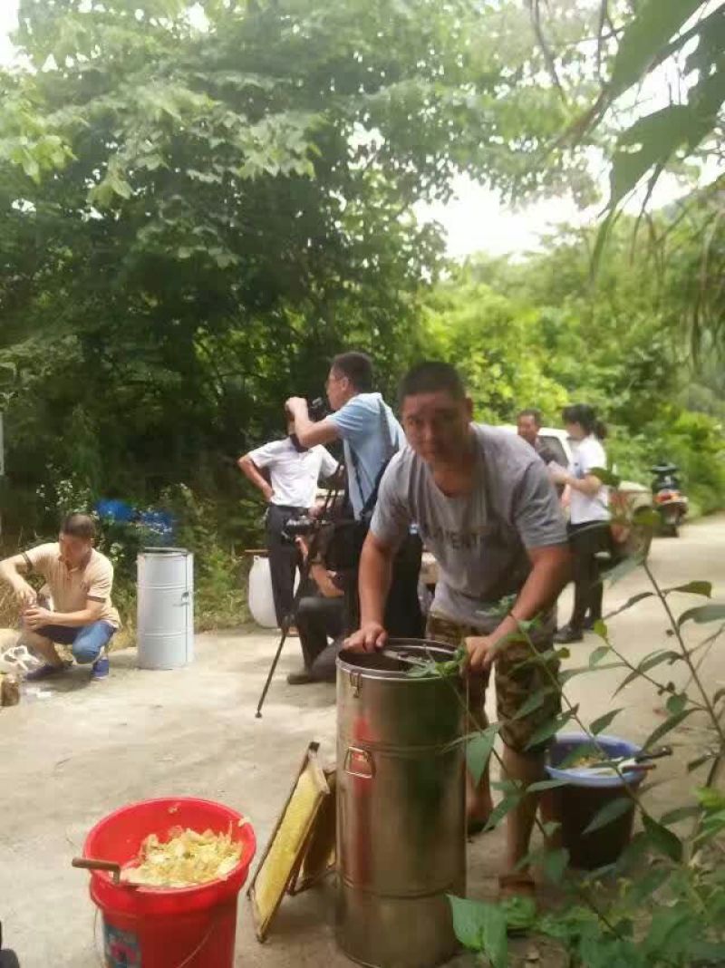 蜂蜜