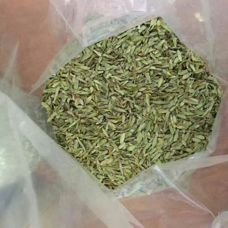 浙江雁荡山铁皮石斛切片易冲泡