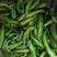 牛角椒10~15厘米黄