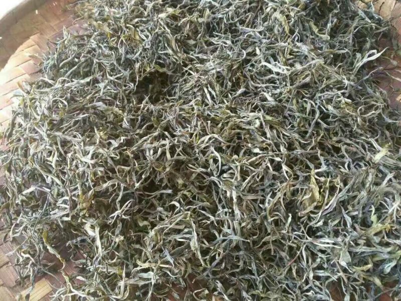 百年大树茶一级
