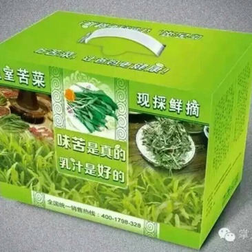 苦苣菜5~8厘米