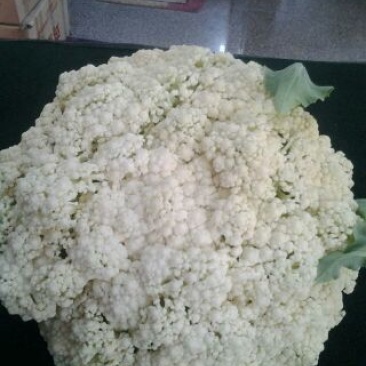 散花菜
